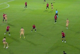 动画 (4010).gif